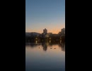 【福岡】大濠公園のカモ（遠景）