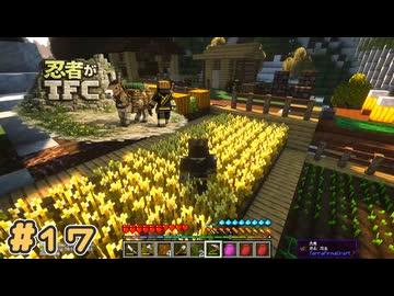【Minecraft】忍者がTFC # 17【TerraFirmaCraft】