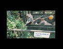 【とくしま動物園】動物たちの笑顔と癒やしのひととき