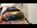 【ニコニコ超会議2026】#3 バンズが真っ黒？だがうまい！！千葉ブラックバーガーを食す！