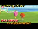 トモダチコレクション　しゃっくりを止めてあげよう　島の住人観察日記（ポケモン編）　＃３１７　【トモコレわくわく生活】