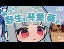 Kotonoha Geeographic (コトノハ・ジオグラフィック)