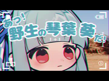 Kotonoha Geeographic (コトノハ・ジオグラフィック)