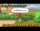 トモダチコレクション　思い出に残る記念写真を撮ってあげる　島の住人観察日記（ポケモン編）　＃３２５　【トモコレわくわく生活】