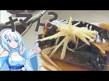 【寄食コラボ】ベトナム人からもらったナマズを捌いて調理してみた！！
