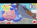 【実況】ぽこ あ ポケモンを初見で遊ぶいも【#30】