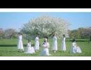 【桜の下で】 夏の在りか 踊ってみた【立夏】