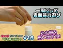 「ペットボトルのふた」だけでひたすら遊んで休日を棒に振ってみた #16