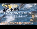 X反ワク増えたけどシェまで理解できない！人口減少折れ線グラフハイスピードなので石油は以前ほどは要らない！高市首相は悪いことばかりという思い込み！【アラ還・読書中毒】私事：クジラ・イルカ船で見に行きたい