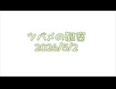 つばめの観察2026No007