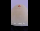 結 / Saucy Dog (acapella cover)