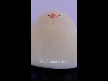 結 / Saucy Dog (acapella cover)