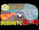 浮き島のゴミがどこに捨てられているか、知ってますか…？【ぽこあポケモン】#30