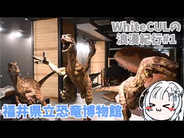 ぴゃあ！！
