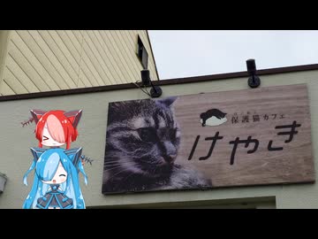 2026/04/19_Dairy.mp4