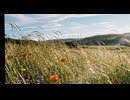 ClariS様の『ヒトリゴト』を弾き語りしました！