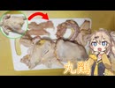 丸鶏をさばいてから揚げにして食う【春日部つむぎ/料理】