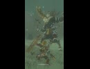 【ティアキン】ベリル雪原のライネル ゼルダの伝説ティアーズオブザキングダム