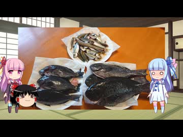 琴葉姉妹と行く釣行記録（海釣り編part45 2/2）