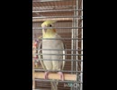 長いお留守番のあと