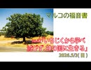 「滅びず、神の国に生きる」(マル13.28-31)みことば福音教会2026.5.3(日)