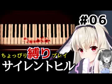 ちょっぴり縛りで【サイレントヒル】を一人と一羽がプレイ part6