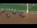 2026 Kentucky Derby Golden Tempo