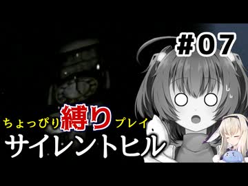 ちょっぴり縛りで【サイレントヒル】を一人と一羽がプレイ part7