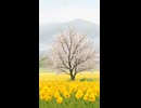 介護ケアBGM「穏やか日和」薄低域 ver 202603878