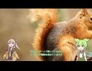 陽気な一日が終わる時、真っ白な鋳鉄と共にモグリファス様が降臨なされたのだ。血の気を取り戻すエレベーターと癇癪を起こす椅子を背に24分だけ目を瞑り、砂糖となって積もる拍手の中で人形を埋め続けるのだ