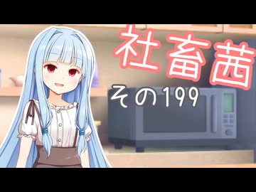 社畜茜その199【ソフトウェアトーク劇場】