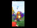 色違いメルタンを添えて vsシャドウエンテイ▼【ポケモンGO】