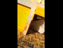 YMDD_59　卵自動販売機＿きららの里