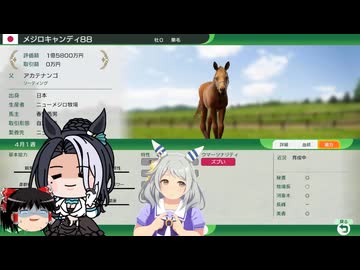 【WP10 2025】頭メジロ ⑰1988