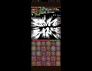 【パズドラ】ヅラじゃないズラ銀だ。