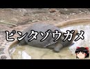 【ゆっくり朗読】ゆっくりさんと絶滅した生物　その84