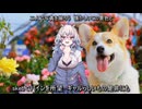 【ヘコってみた】愛をこめて花束を