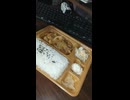 YMDD_70　本家かまどや：豚しょうが焼弁当