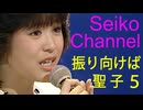 （ザ・スター ～ 振り向けば聖子） No.５