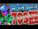【DQMJ3P】スライムだけを709匹集めて大魔王オルゴ・デミーラを作ってみた！【ドラクエモンスターズゆっくり実況】