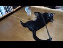 好きなおもちゃこま