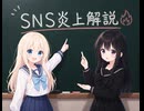 【ゆっくり解説】今話題のSNS炎上について【BeReal】
