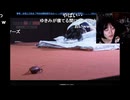ゆきみ　寝配信中にゴキブリが / 超配信者ステージ【ニコニコ超会議2026】