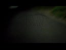転写する報い(DEMO)/初音ミク