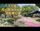 初夏の安曇野 拾ヶ堰自転車広場を歩くだけの3分間