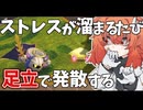 【カービィのエアライダー】 友達と遊ぶエアライダーは楽しいぞい9