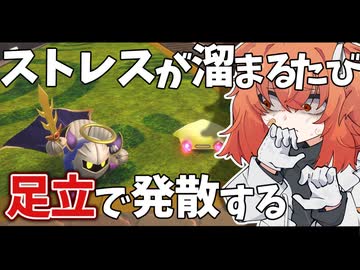 【カービィのエアライダー】 友達と遊ぶエアライダーは楽しいぞい9