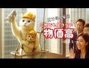 【GW特別編】家なき子猫「物価高でも…」＃3　-頑張る-