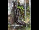 ブチサンショウウオ