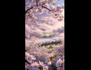 AI生成 雅楽風味「晩春の花雲楽」残響 202604950